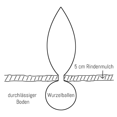 Rindenmulch und Durchlässige Bodenart
