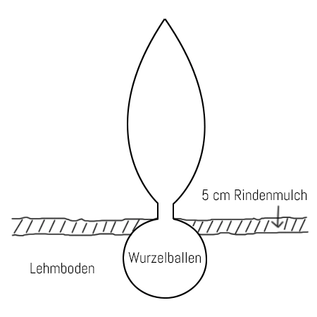 Rindenmulch, Undurchlässigen aber flachem Boden