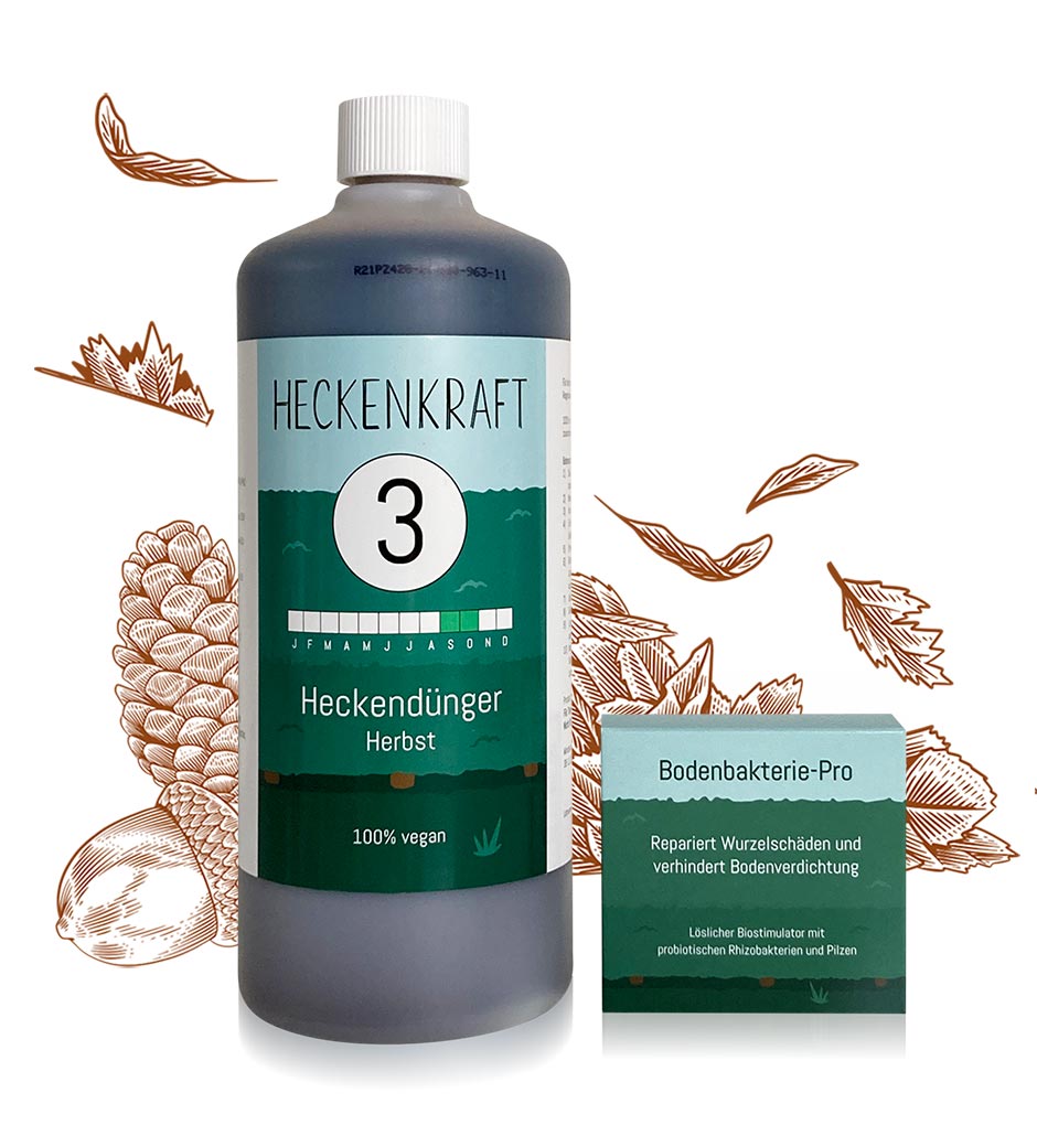 Hecken im Herbst düngen mit Heckendünger Herbst
