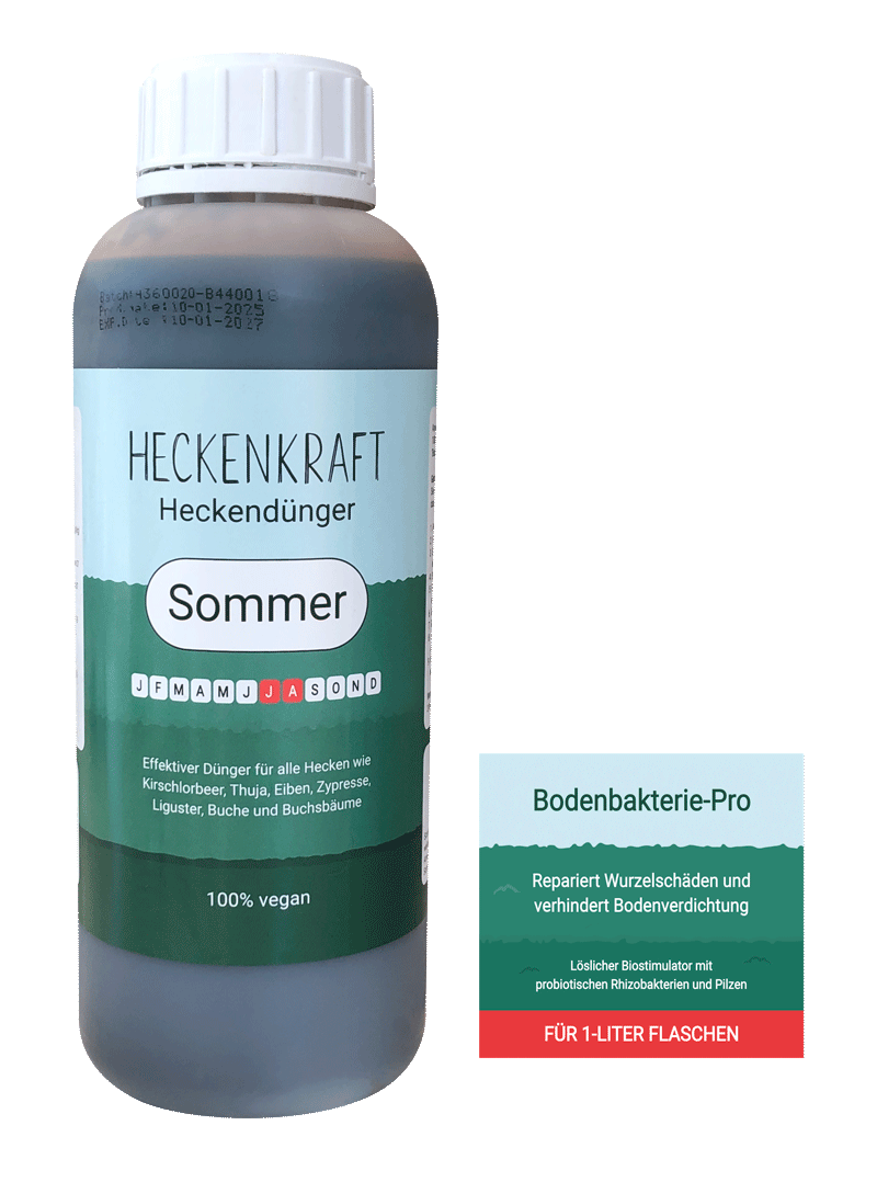 Sommerdünger Heckendünger-flasche
