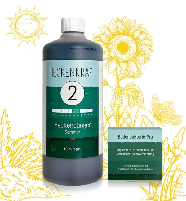 Hecken im Sommer düngen mit Heckendünger Sommer