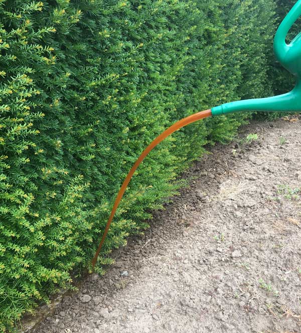 dennerle dnger v30 Dennerle Dosator