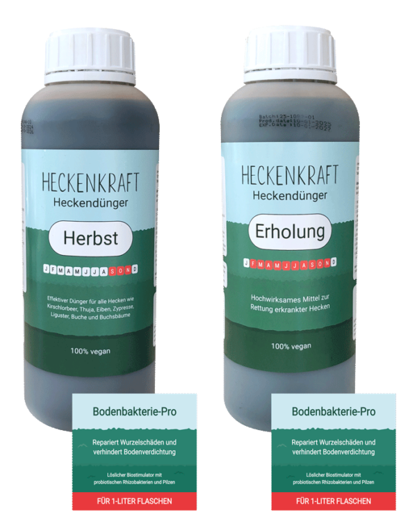 Heckendünger-Herbst-Erholung Set