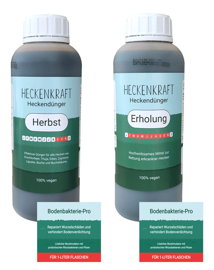 Heckendünger-Herbst-Erholung Set