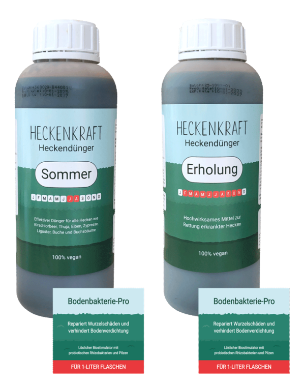 Heckendünger-Sommer-Erholung Set
