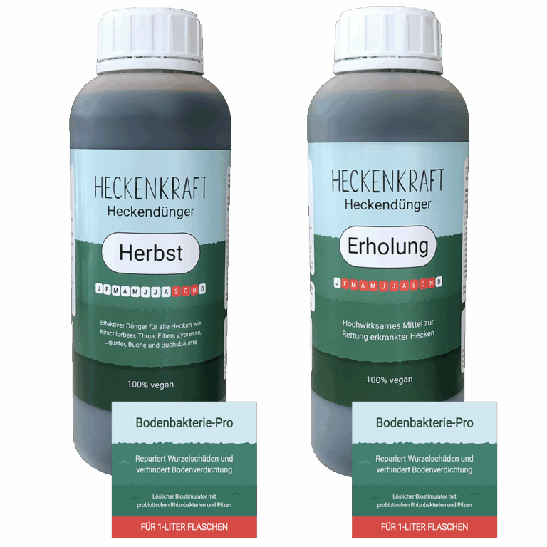Set Heckendünger: Herbstdünger und Erholungsdünger von Heckenkraft