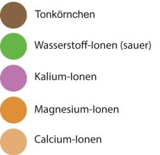 legenda-ton-humus-komplex